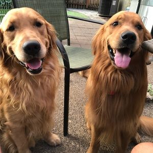 Meet your Posher, Deanna